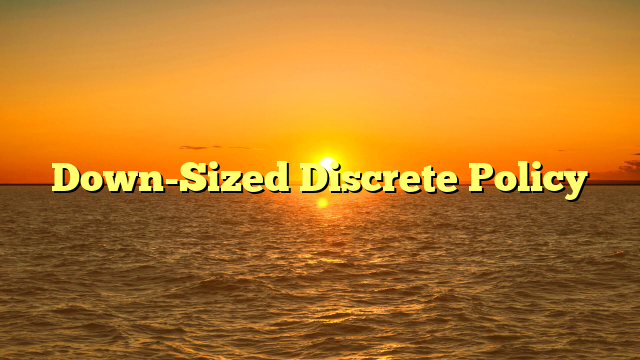 Down-Sized Discrete Policy